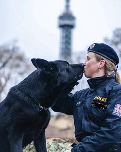 Large, solid black male German Shepherd named Azrael leaning in for a kiss from his  beret wearing Czech female police K9 handler owner with a blurred tower reaching into the open sky behind them